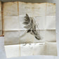 1778 DE LEPRA COMMENTATIONES antique ILLUSTRATED LEPROSY MEDICAL TREATISE
