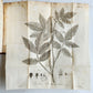 1778 DE LEPRA COMMENTATIONES antique ILLUSTRATED LEPROSY MEDICAL TREATISE