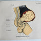 1924 OBSTETRICAL CHARTS in COLORS antique