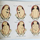 1924 OBSTETRICAL CHARTS in COLORS antique
