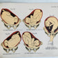 1924 OBSTETRICAL CHARTS in COLORS antique