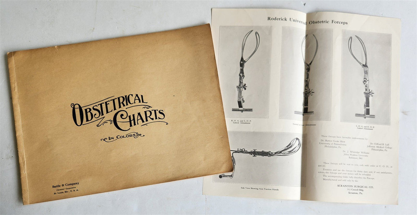 1924 OBSTETRICAL CHARTS in COLORS antique
