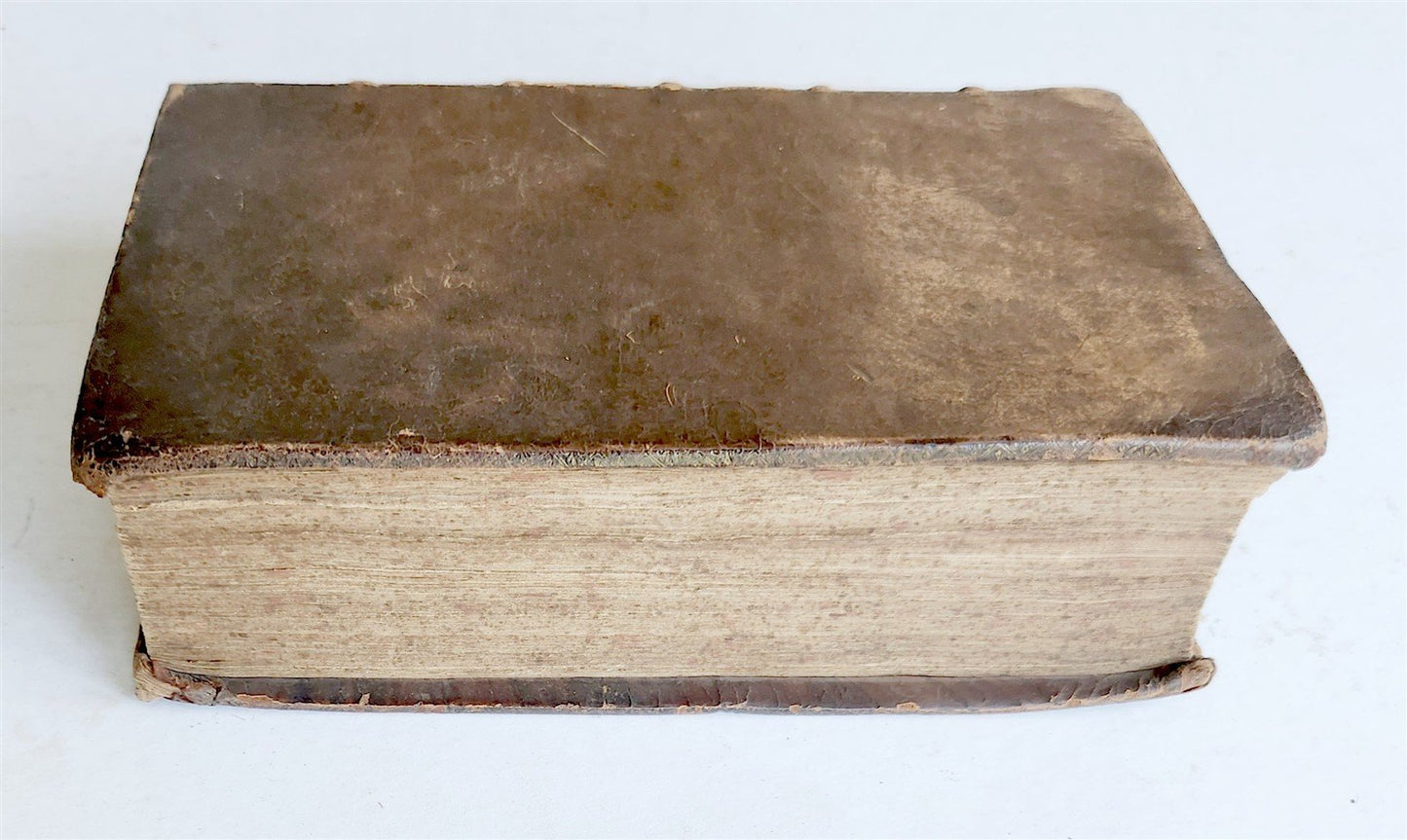 1701 LUCRETIUS DE RERUM NATURA antique ILLUSTRATED