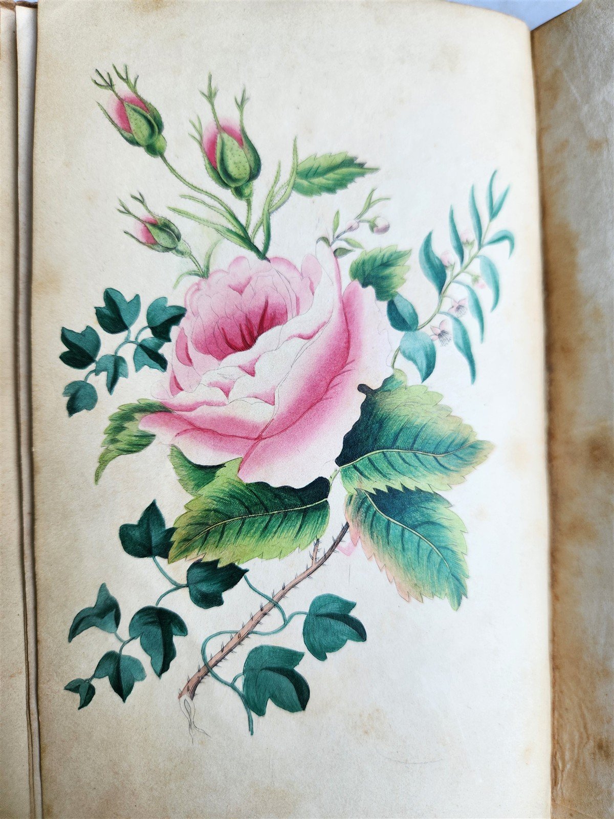 1849 THE POETRY of FLOWERS antique ILLUSTRATED