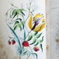 1849 THE POETRY of FLOWERS antique ILLUSTRATED