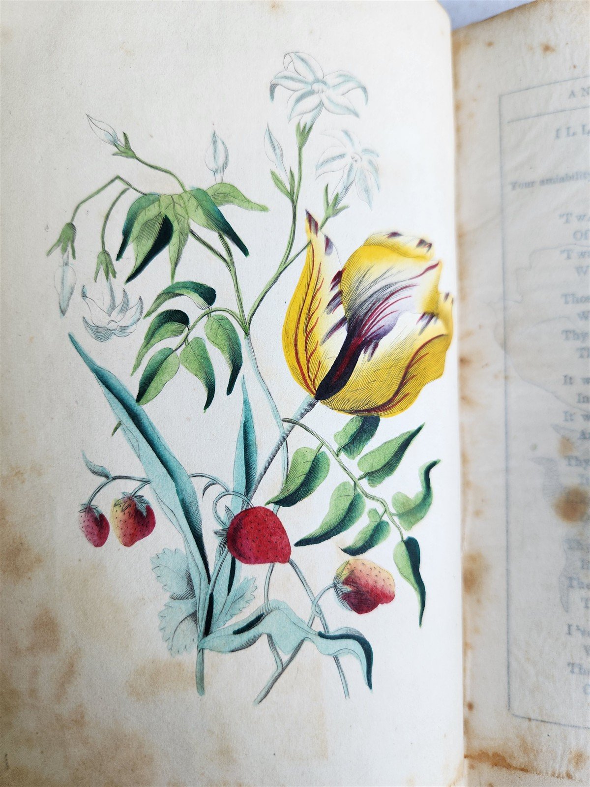 1849 THE POETRY of FLOWERS antique ILLUSTRATED