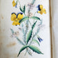 1849 THE POETRY of FLOWERS antique ILLUSTRATED