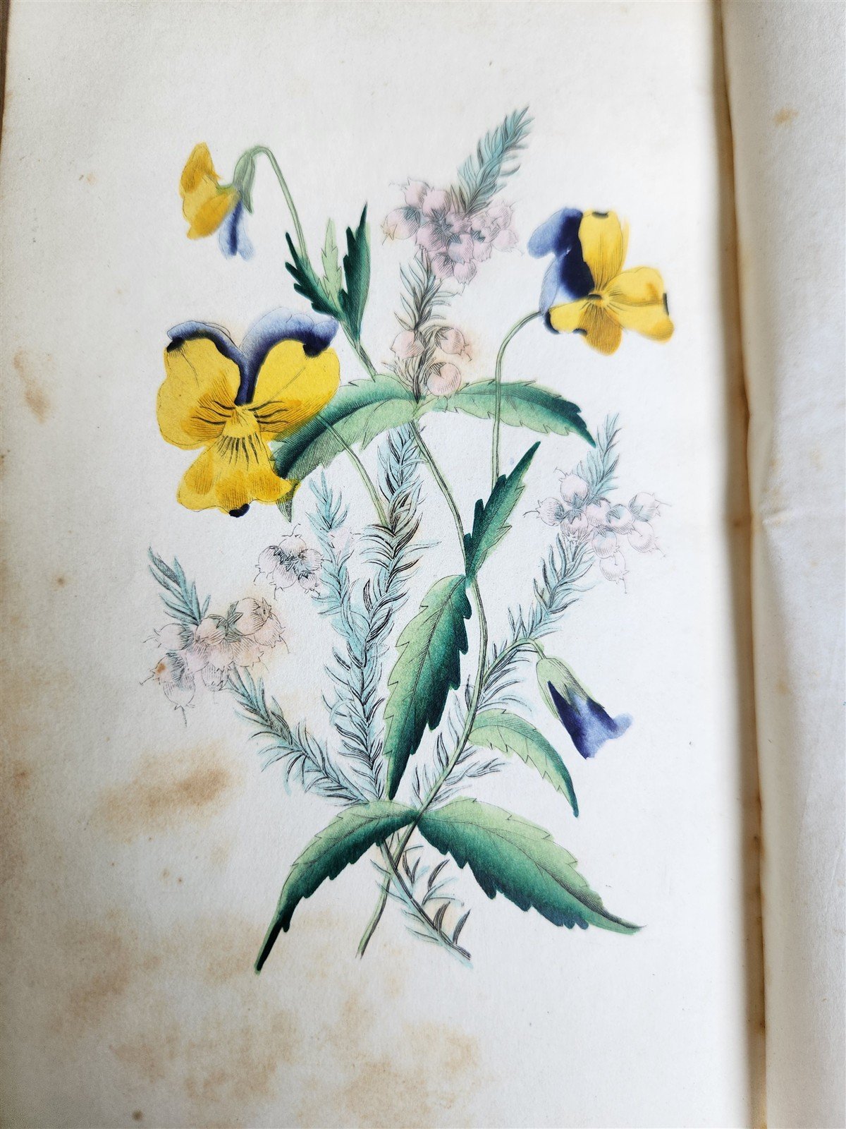 1849 THE POETRY of FLOWERS antique ILLUSTRATED