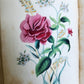 1849 THE POETRY of FLOWERS antique ILLUSTRATED