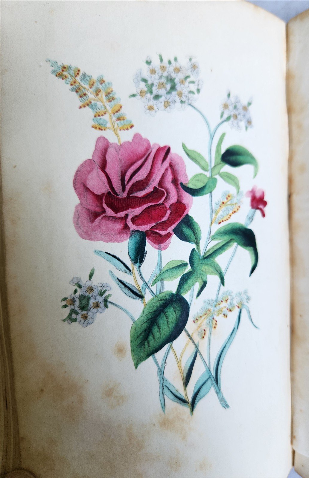 1849 THE POETRY of FLOWERS antique ILLUSTRATED