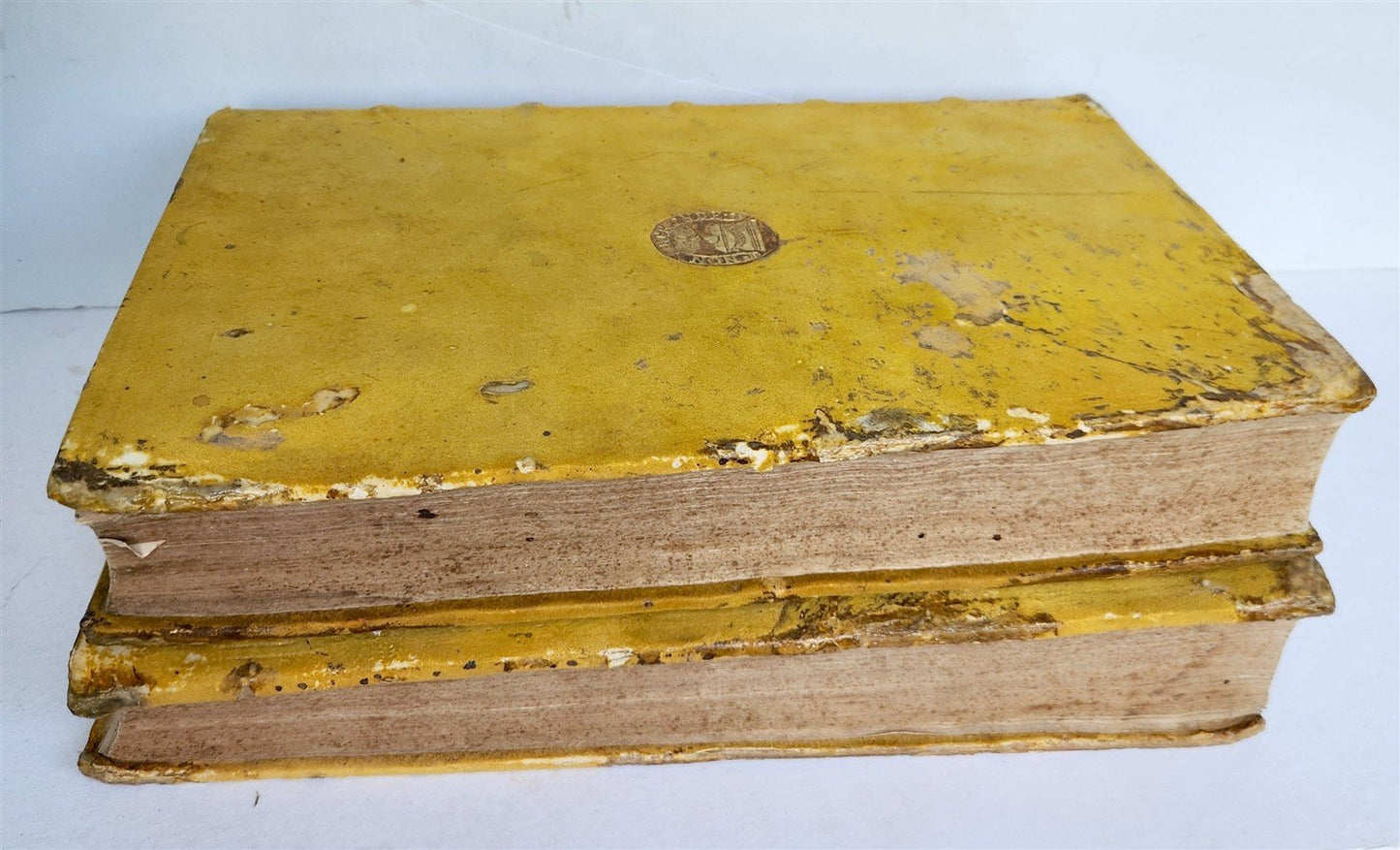 1584 HISTORY OF THE WORLD by PLINY antique L'HISTOIRE DU MONDE 2 folio volumes