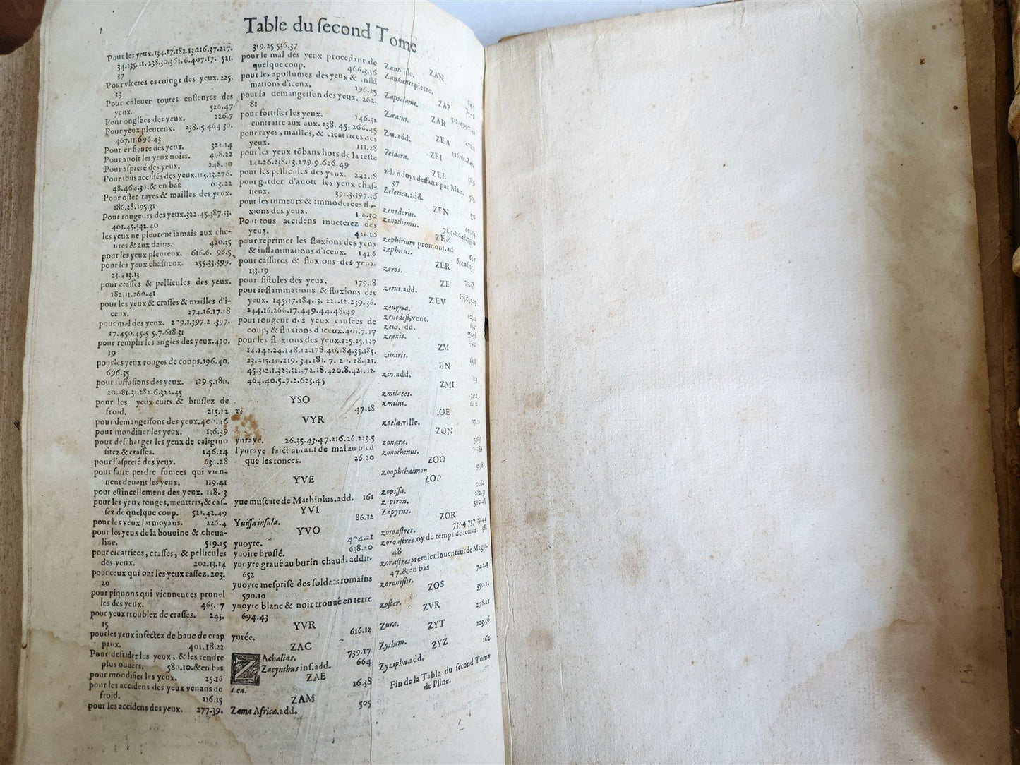 1584 HISTORY OF THE WORLD by PLINY antique L'HISTOIRE DU MONDE 2 folio volumes