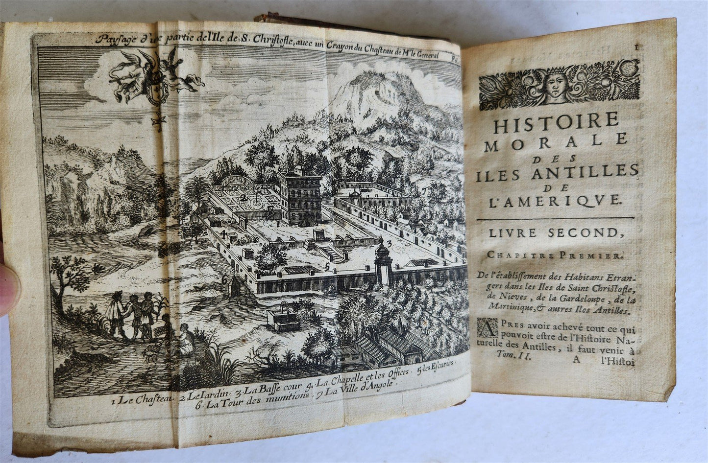 1667 HISTORY of ANTILLES ISLANDS of AMERICA antique ILLUSTRATED CARIBBEAN