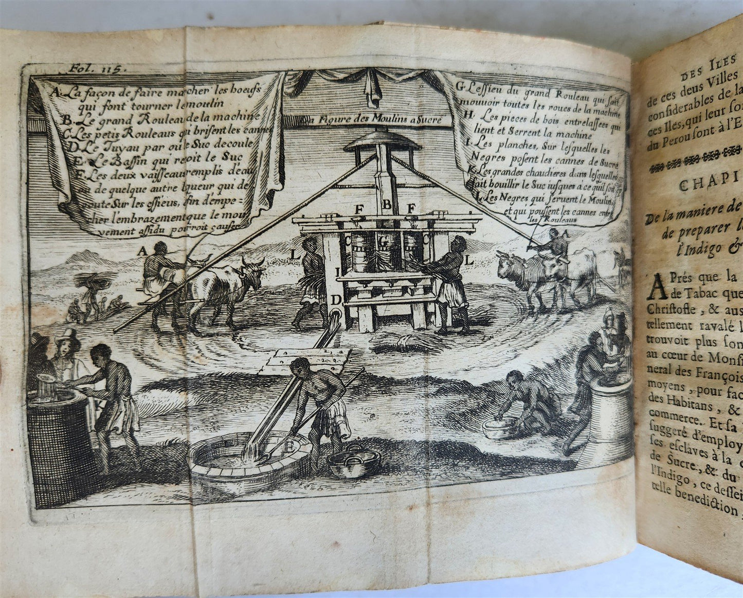 1667 HISTORY of ANTILLES ISLANDS of AMERICA antique ILLUSTRATED CARIBBEAN