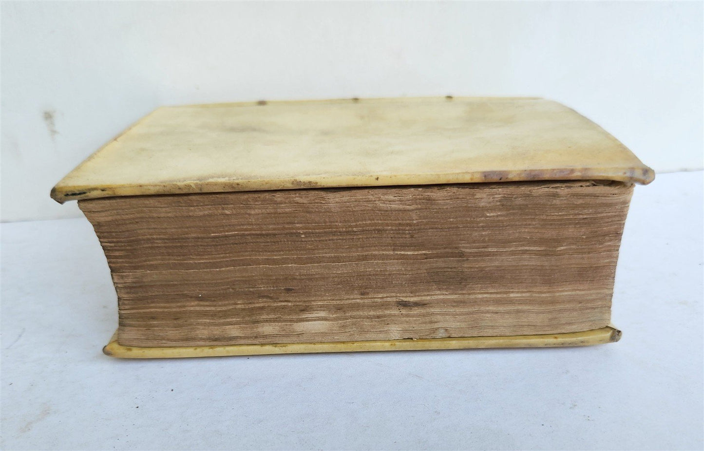 1573 Pro Canonibus Apostolorum by Franciscus Turrianus antique VELLUM BOUND