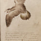 1840 ILLUMINATED POETRY MANUSCRIPT in DUTCH antique