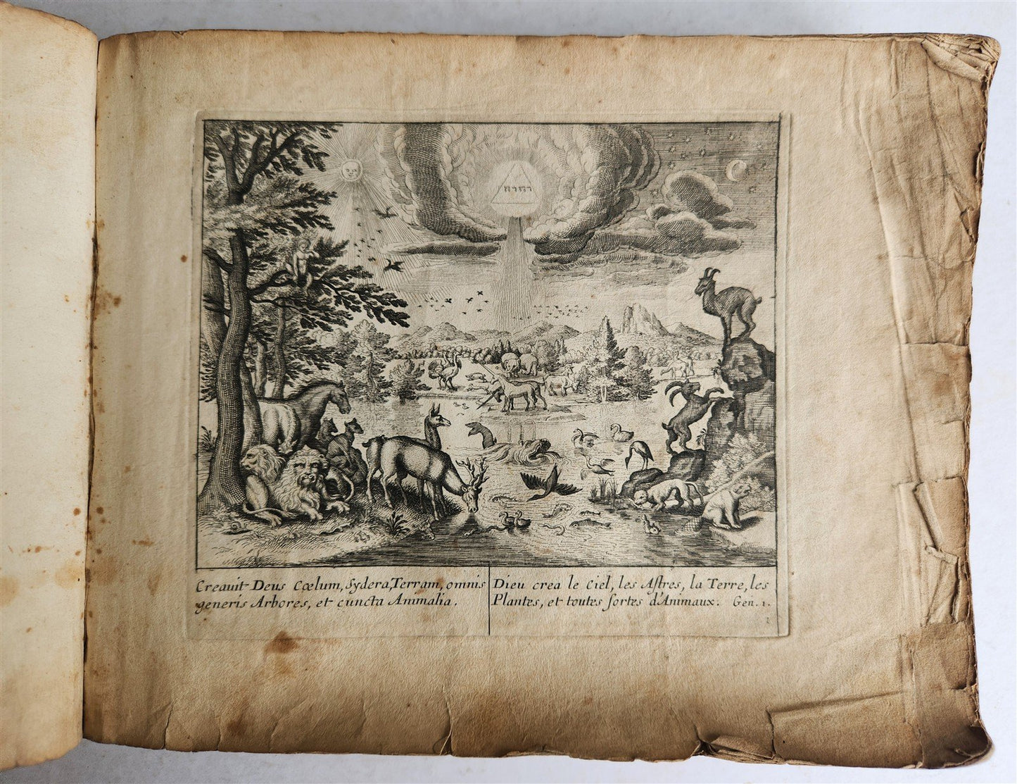 1650 BIBLE FIGURES illustrated by Matthaeus Merian w/ 233 ENGRAVINGS ANTIQUE