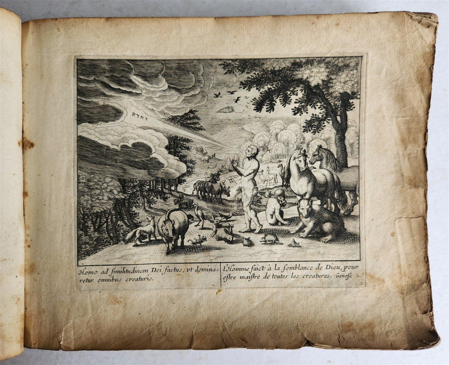 1650 BIBLE FIGURES illustrated by Matthaeus Merian w/ 233 ENGRAVINGS ANTIQUE