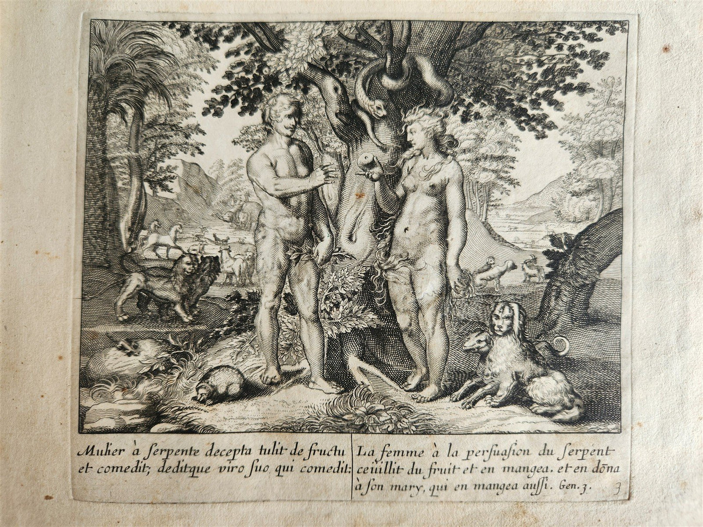 1650 BIBLE FIGURES illustrated by Matthaeus Merian w/ 233 ENGRAVINGS ANTIQUE