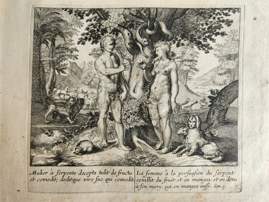 1650 BIBLE FIGURES illustrated by Matthaeus Merian w/ 233 ENGRAVINGS ANTIQUE