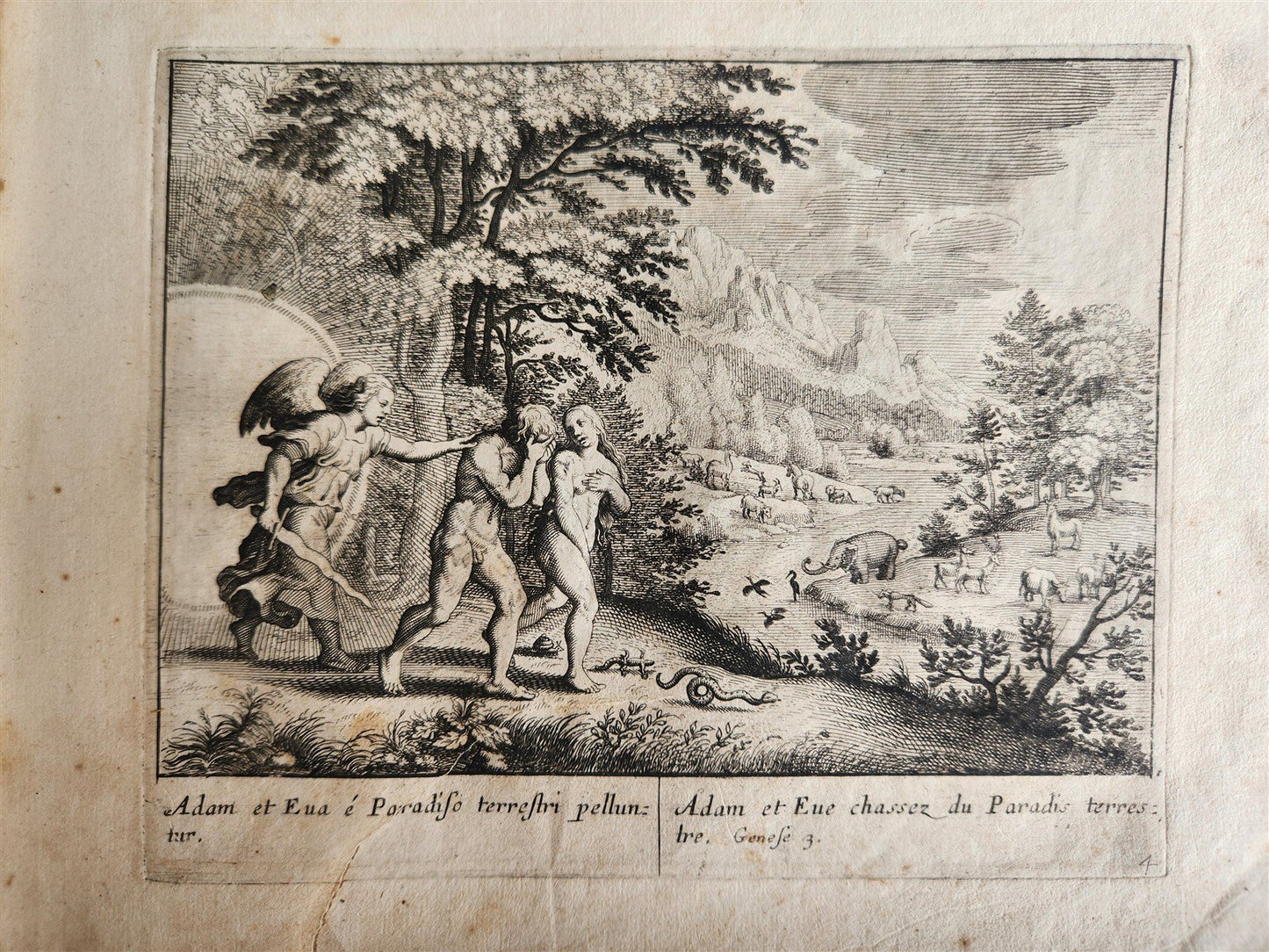 1650 BIBLE FIGURES illustrated by Matthaeus Merian w/ 233 ENGRAVINGS ANTIQUE