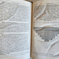 1588 DISPUTATIONES AGAINST HERETICS ROBERTI BELLARMINI antique PIGSKIN FOLIO v.2