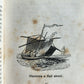 1850 LITTLE ROBINSON CRUSOE antique ILLUSTRATED English Philadelphia Americana