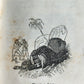 1850 LITTLE ROBINSON CRUSOE antique ILLUSTRATED English Philadelphia Americana