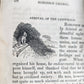 1845 LITTLE ROBINSON CRUSOE antique ILLUSTRATED English Philadelphia Americana