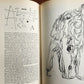 1955 PAUL KLEE by WILL GOHMANN ILLUSTRATED ART & REFERENCE ALBUM vintage