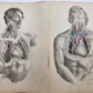 1860s SURGICAL ANATOMY by Joseph Maclise antique ILLUSTRATED w/ 68 plates
