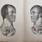 1860s SURGICAL ANATOMY by Joseph Maclise antique ILLUSTRATED w/ 68 plates