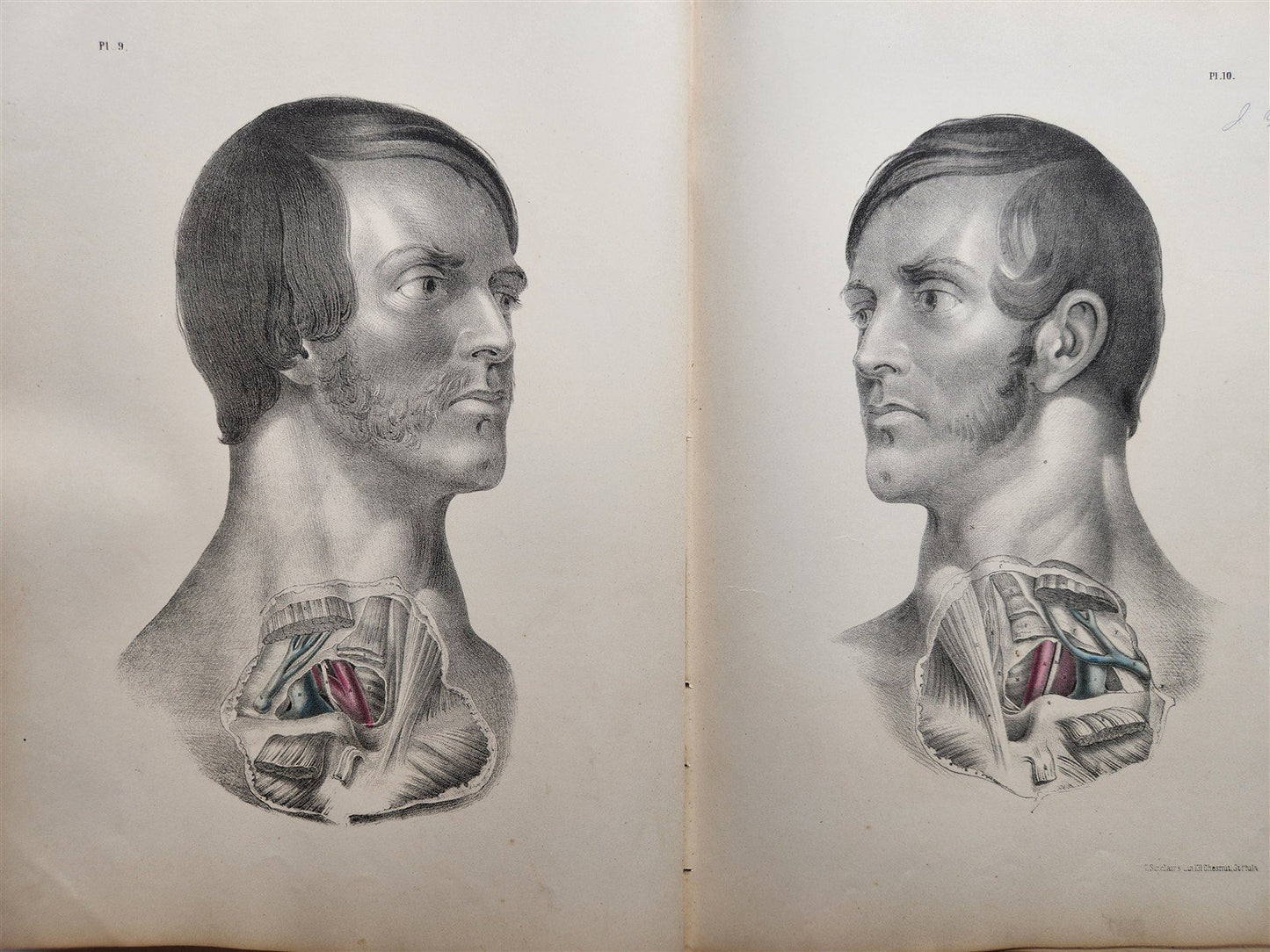 1860s SURGICAL ANATOMY by Joseph Maclise antique ILLUSTRATED w/ 68 plates