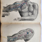 1860s SURGICAL ANATOMY by Joseph Maclise antique ILLUSTRATED w/ 68 plates