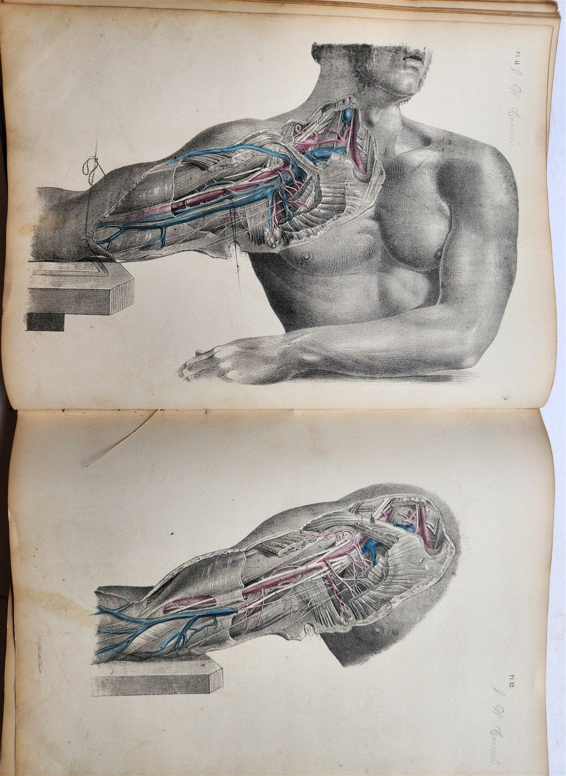 1860s SURGICAL ANATOMY by Joseph Maclise antique ILLUSTRATED w/ 68 plates