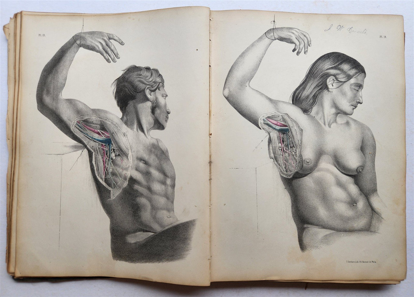 1860s SURGICAL ANATOMY by Joseph Maclise antique ILLUSTRATED w/ 68 plates