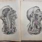 1860s SURGICAL ANATOMY by Joseph Maclise antique ILLUSTRATED w/ 68 plates