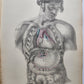 1860s SURGICAL ANATOMY by Joseph Maclise antique ILLUSTRATED w/ 68 plates