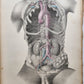 1860s SURGICAL ANATOMY by Joseph Maclise antique ILLUSTRATED w/ 68 plates