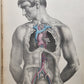 1860s SURGICAL ANATOMY by Joseph Maclise antique ILLUSTRATED w/ 68 plates