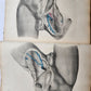 1860s SURGICAL ANATOMY by Joseph Maclise antique ILLUSTRATED w/ 68 plates