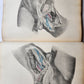 1860s SURGICAL ANATOMY by Joseph Maclise antique ILLUSTRATED w/ 68 plates