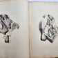 1860s SURGICAL ANATOMY by Joseph Maclise antique ILLUSTRATED w/ 68 plates