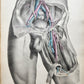 1860s SURGICAL ANATOMY by Joseph Maclise antique ILLUSTRATED w/ 68 plates