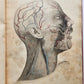 1823 SYSTEM of ANATOMICAL PLATES by John Lizars antique ILLUSTRATED w/ 24 plates