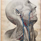 1823 SYSTEM of ANATOMICAL PLATES by John Lizars antique ILLUSTRATED w/ 24 plates