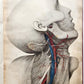 1823 SYSTEM of ANATOMICAL PLATES by John Lizars antique ILLUSTRATED w/ 24 plates
