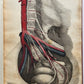 1823 SYSTEM of ANATOMICAL PLATES by John Lizars antique ILLUSTRATED w/ 24 plates