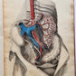 1823 SYSTEM of ANATOMICAL PLATES by John Lizars antique ILLUSTRATED w/ 24 plates