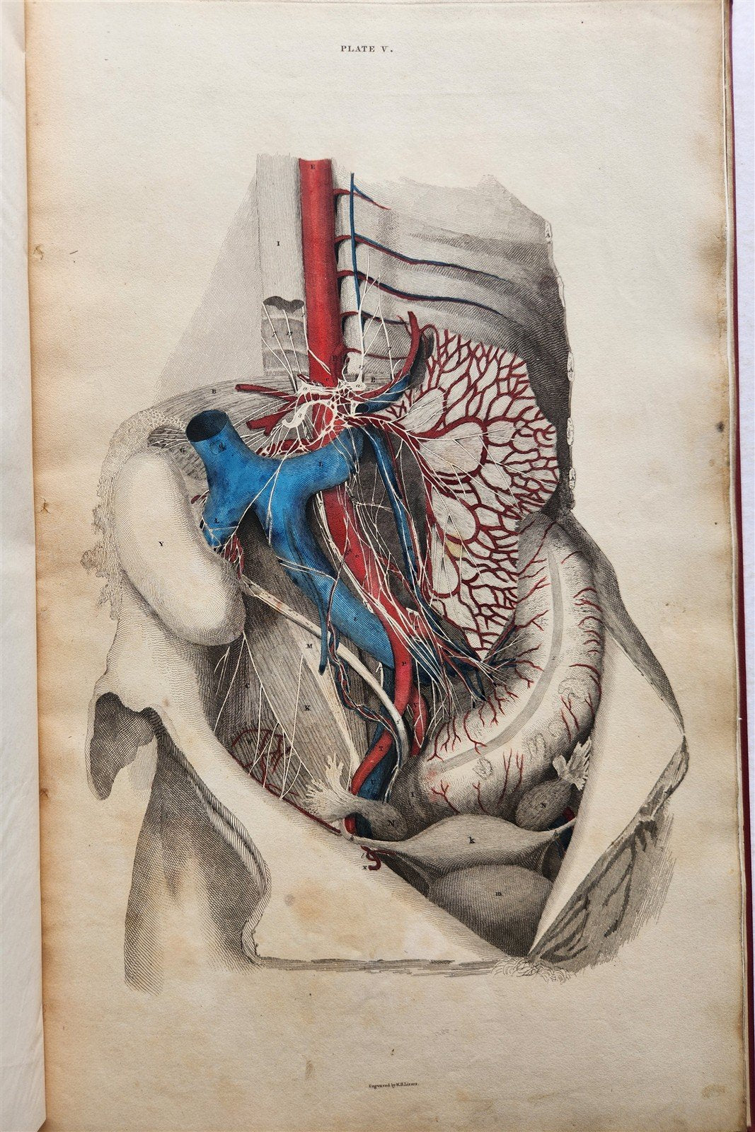 1823 SYSTEM of ANATOMICAL PLATES by John Lizars antique ILLUSTRATED w/ 24 plates